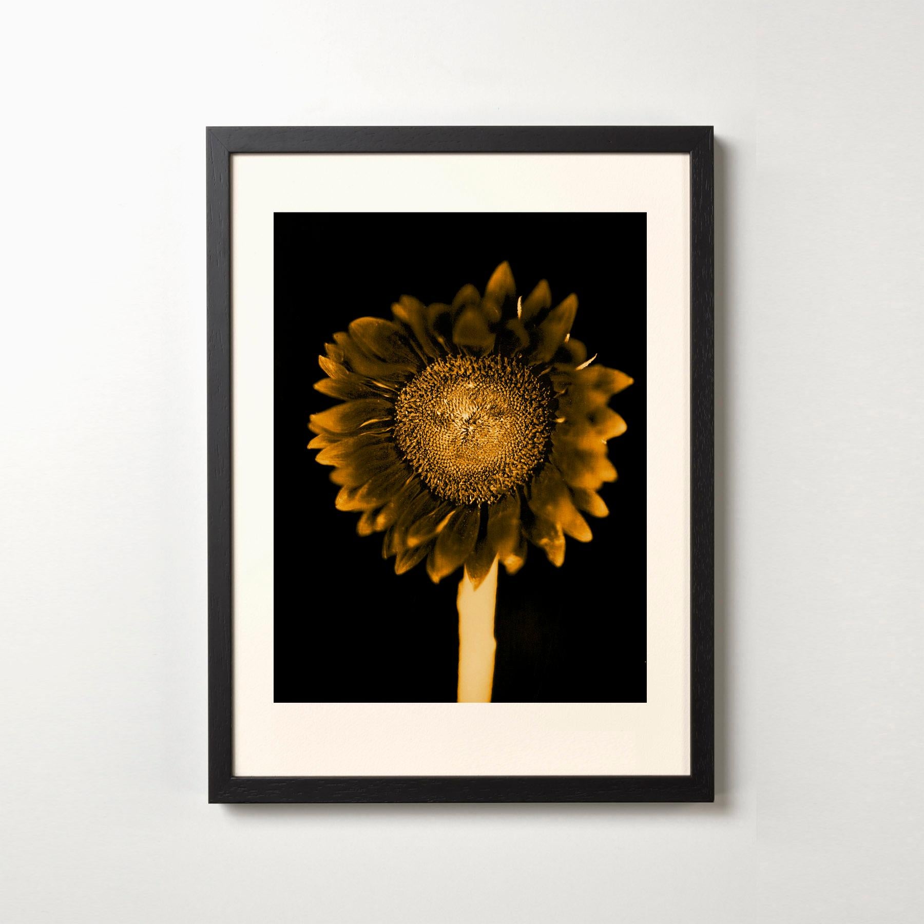 Untitled (Sunflower), Chuck Close, Pigment print, Limited editions For Sale 2