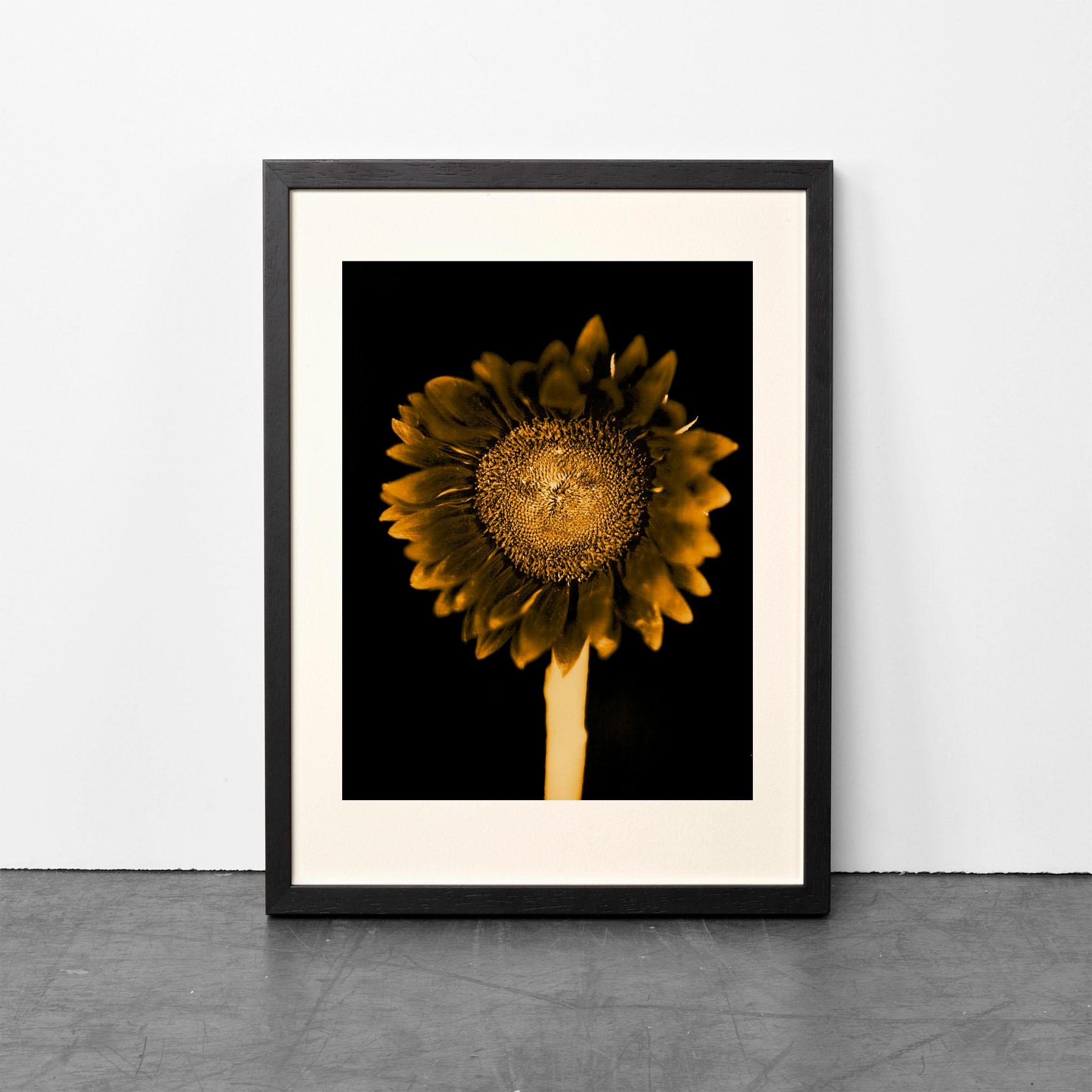 Untitled (Sunflower), Chuck Close, Pigment print, Limited editions For Sale 3