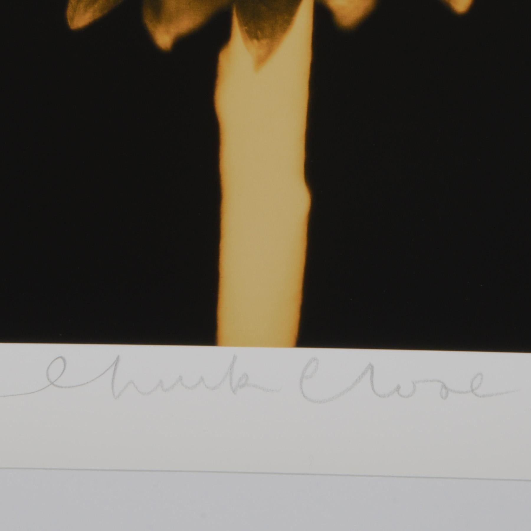 Ohne Titel (Sonnenblume), Chuck Close, Pigmentdruck, limitierte Auflagen 6