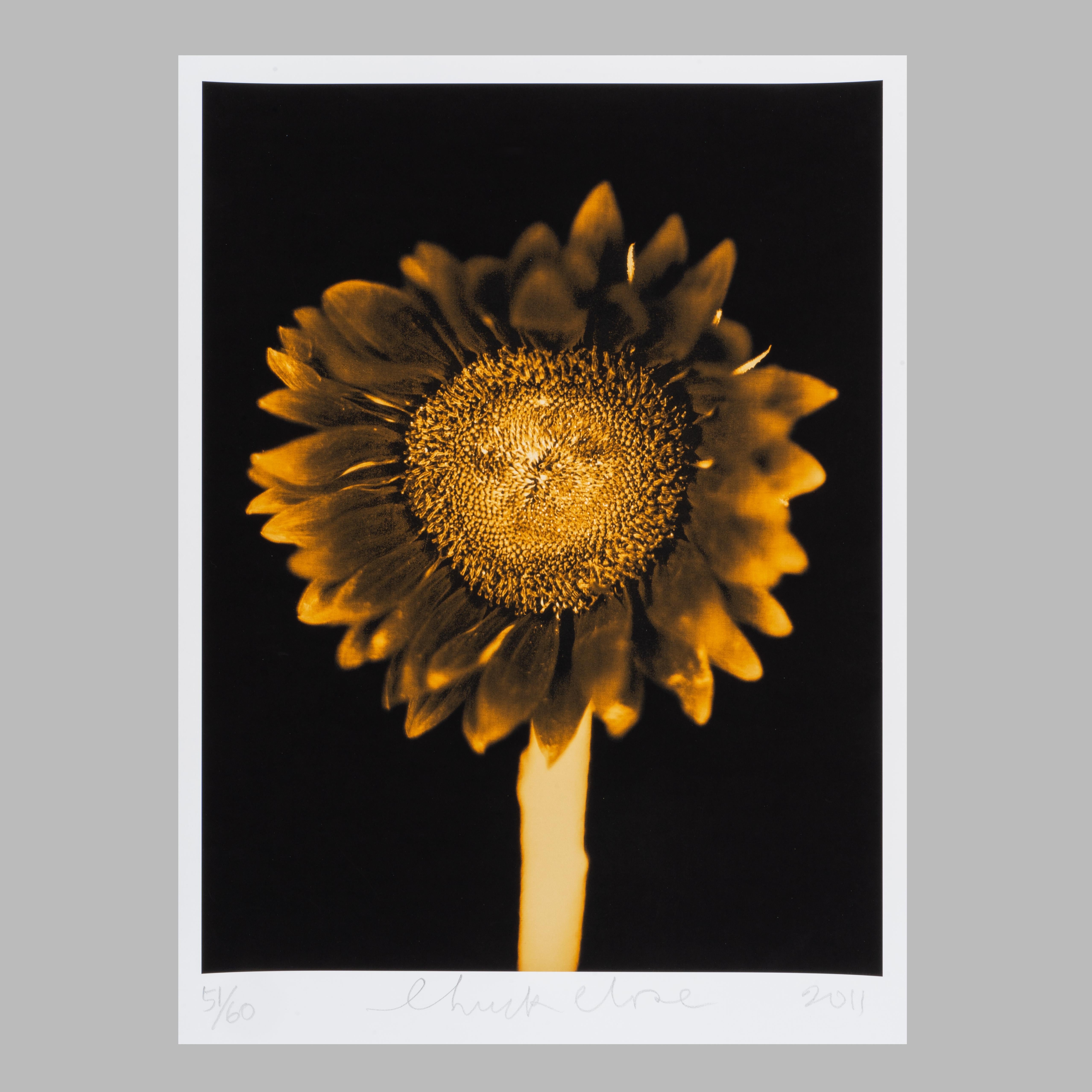 Chuck Close
Ohne Titel (Sonnenblume), 2011
Pigmentdruck
Auflage von 60 Stück 
52 x 39 cm (20,4 x 15,3 Zoll)
Signiert, nummeriert und datiert mit Bleistift auf der Vorderseite
Begleitet von einem Echtheitszertifikat
In neuwertigem Zustand, wie vom