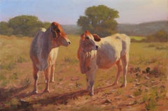 "BRAHMAS" TEXAS CATTLE