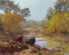 BRAVO CREEK - CATTLE DE LA TEXAS HILL COUNTRY