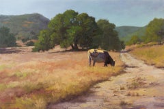 "HEAVY GRAZER" CATTLE TEXAS HILL COUNTRY