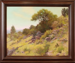 "HILLSIDE HABITAT" TEXAS LANDSCAPE FREDERICKSBURG. OPA MEMBER CHUCK MAULDIN