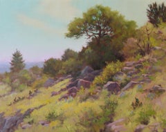 "HILLSIDE HABITAT" TEXAS LANDSCAPE FREDERICKSBURG. OPA MEMBER CHUCK MAULDIN