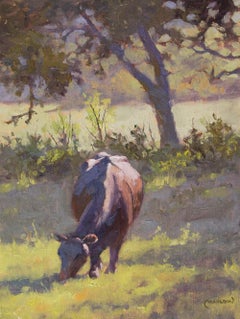 "COOL MUNCHER" TEXAS CATTLE GRAZING