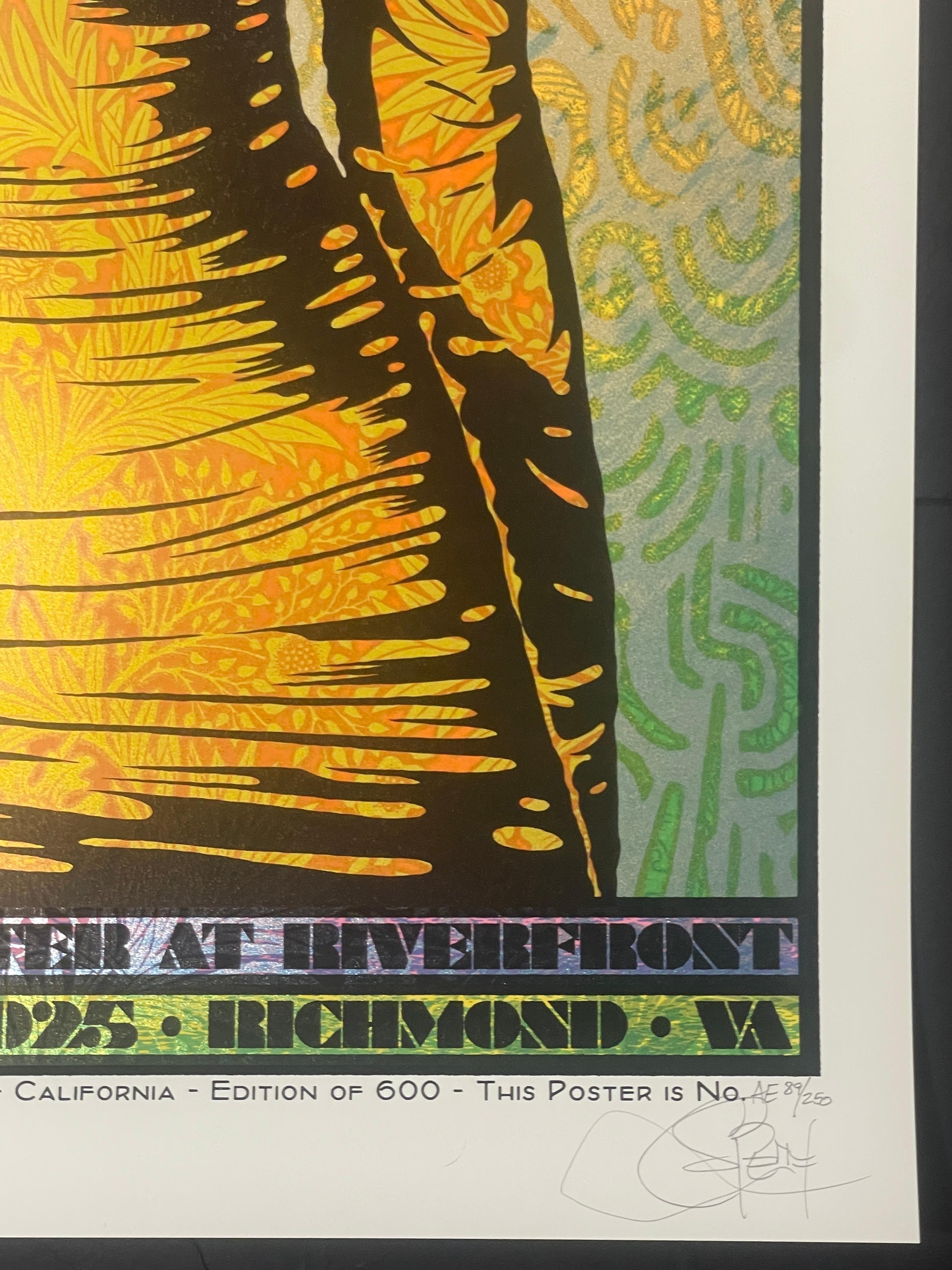 Chuck Sperry & Widespread Panic Sérigraphie d'art Richmond VA Musique en vente 9