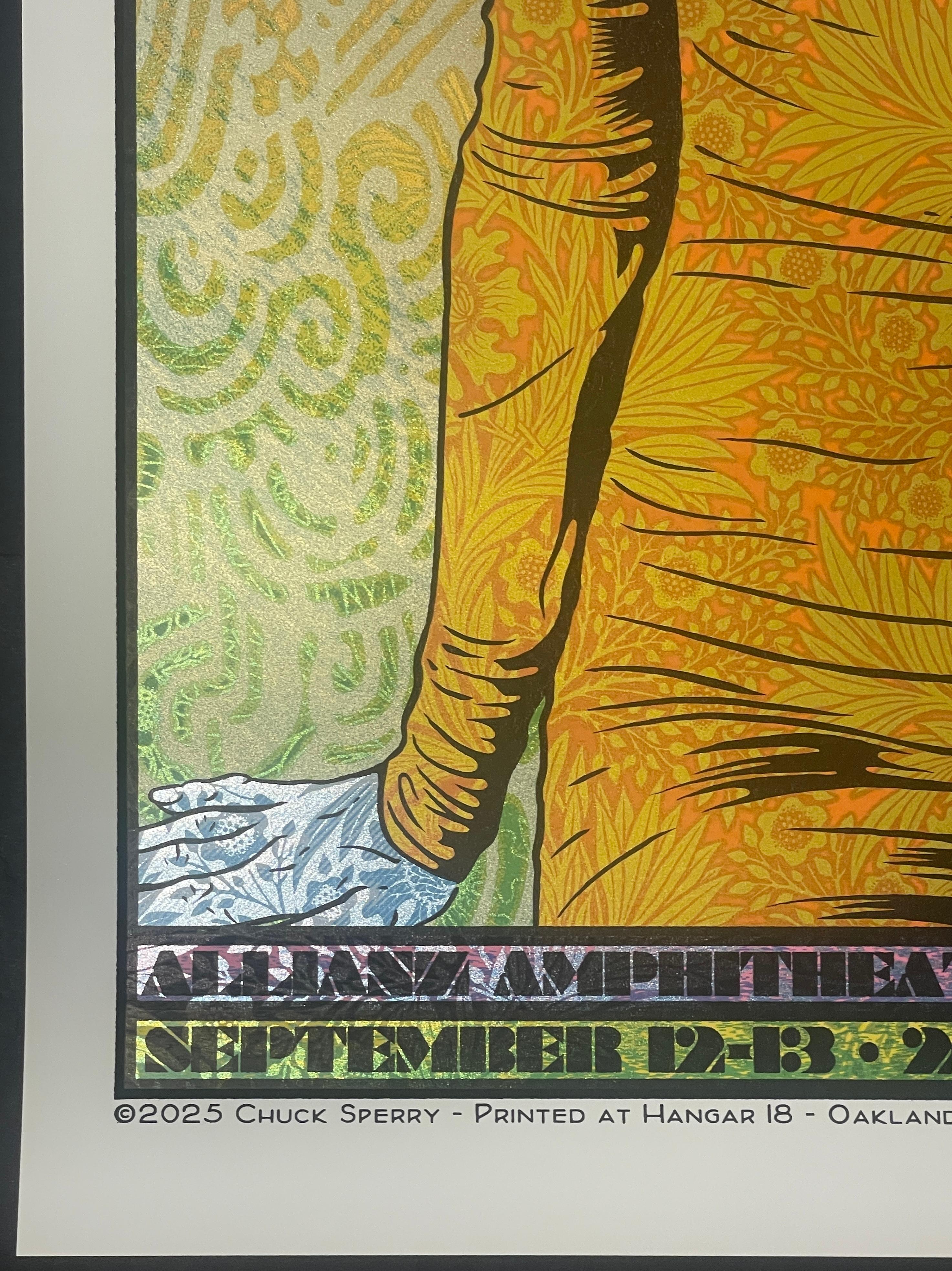Chuck Sperry & Widespread Panic Sérigraphie d'art Richmond VA Musique en vente 2