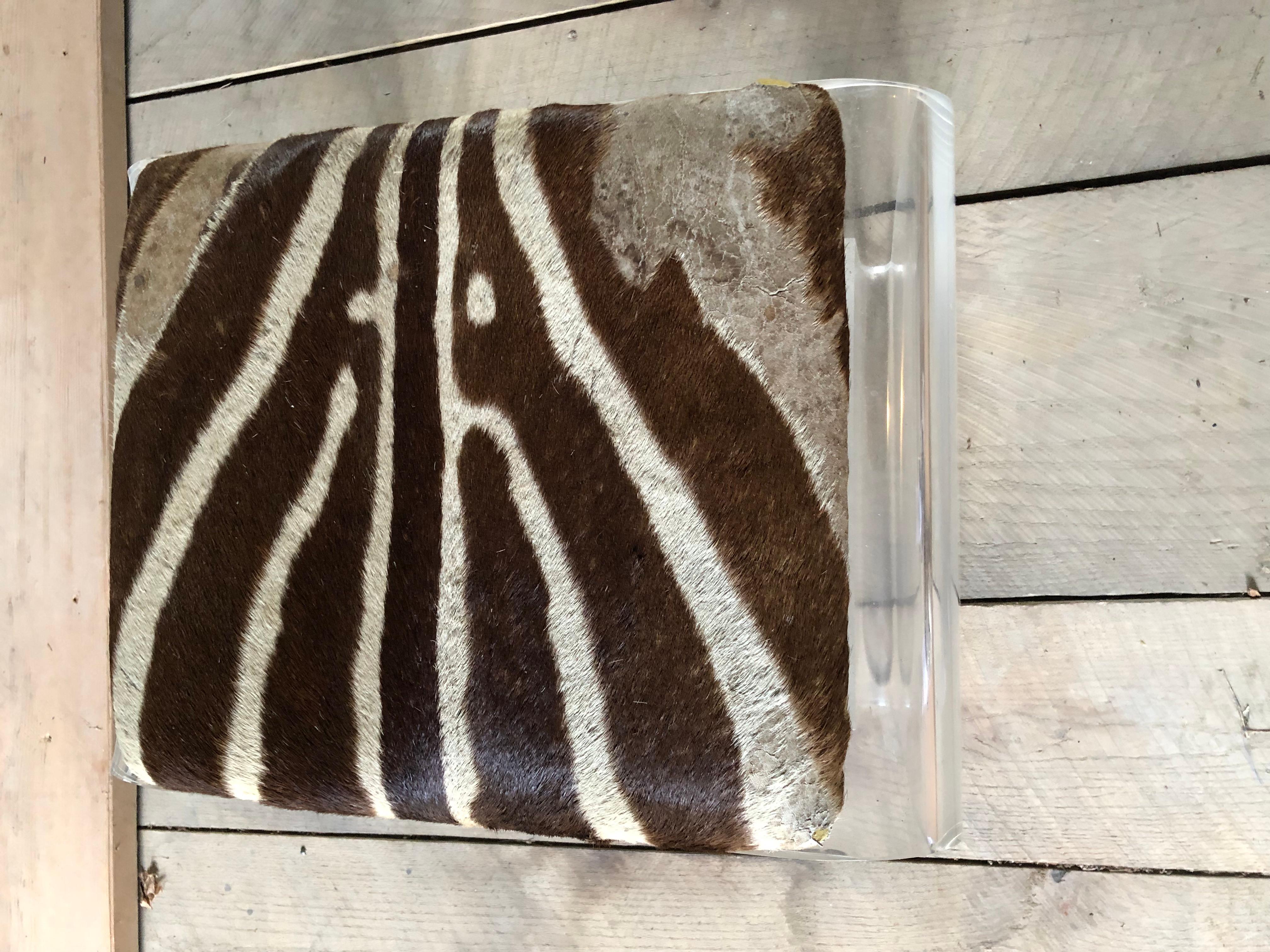 Chic waterfall style heavy lucite bench or ottoman having vintage zebra upholstered top.  Hide shows signs of wear and has one corner where interior foam is visible.