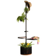 Chuva Brazilian Contemporary Outdoor Wood Shelf by Lattoog