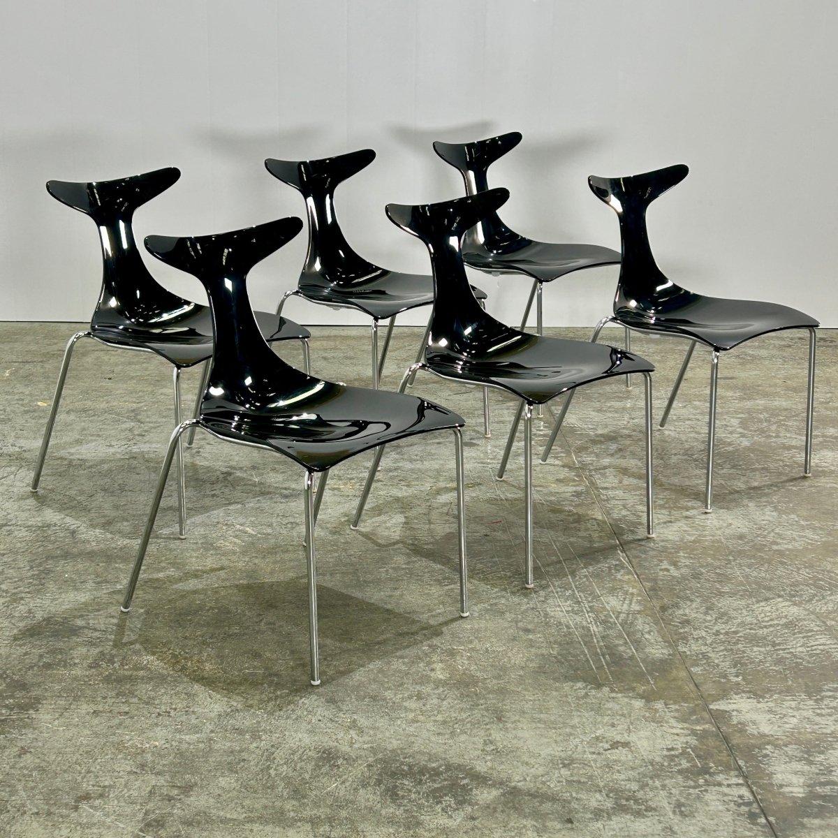 Moderne Chaises de salle à manger Ciacci Kreaty Delfy de Gino Carollo, ensemble de six pièces en vente