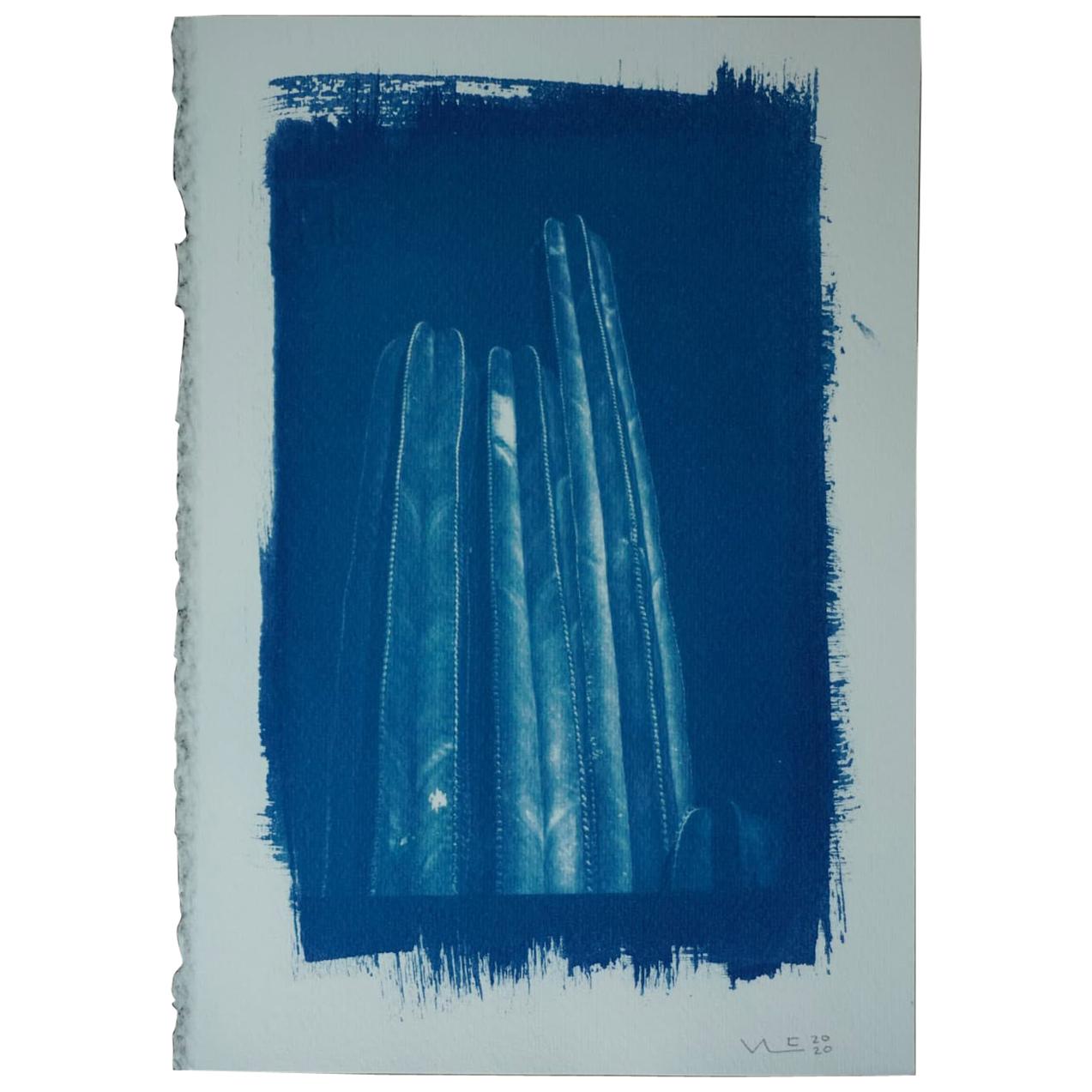 Cianotipo / Fotografie / Valeria Lpez Glvez / Mxico