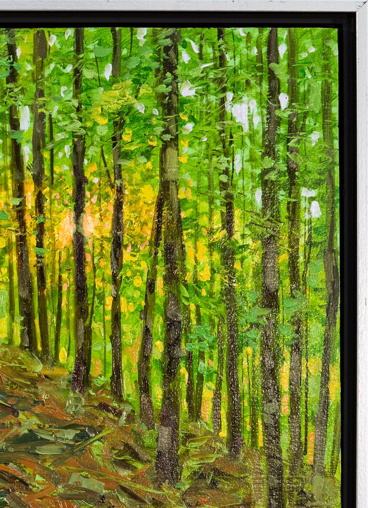 Last Light - contemporary, realism, forest, landscape, oil on board For Sale 3