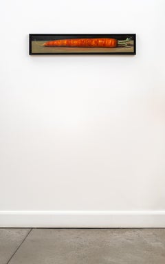 Beta Carotene - Realist Oil Painting, Still Life, Framed, 2023