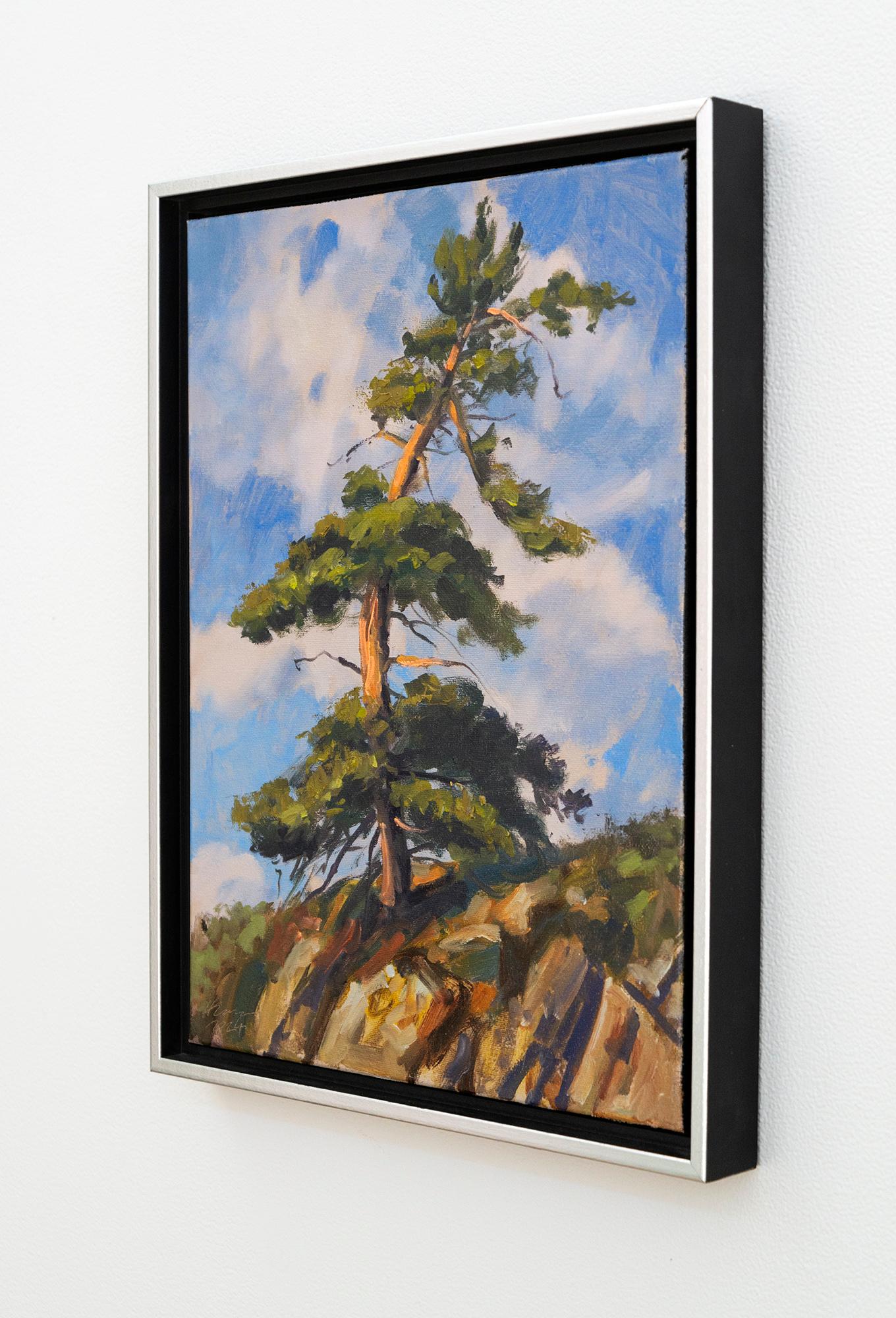 Dieses zeitgenössische Ölgemälde ist eine Landschaft von Ciba Karisik.

Dieses Porträt einer Kiefer, die in einem felsigen Hang verwurzelt ist, erinnert an die berühmten windgepeitschten Evergreens der kanadischen Künstler der Gruppe der
