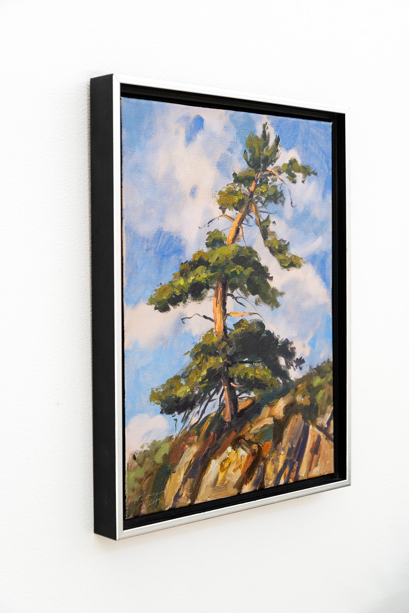 Rooted in Stone 1 - zeitgenössisch, Realismus, Baum, Landschaft, Öl auf Leinwand im Angebot 1