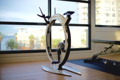 Bicicletta Ciclotte in acciaio bianco di Luca Schieppati