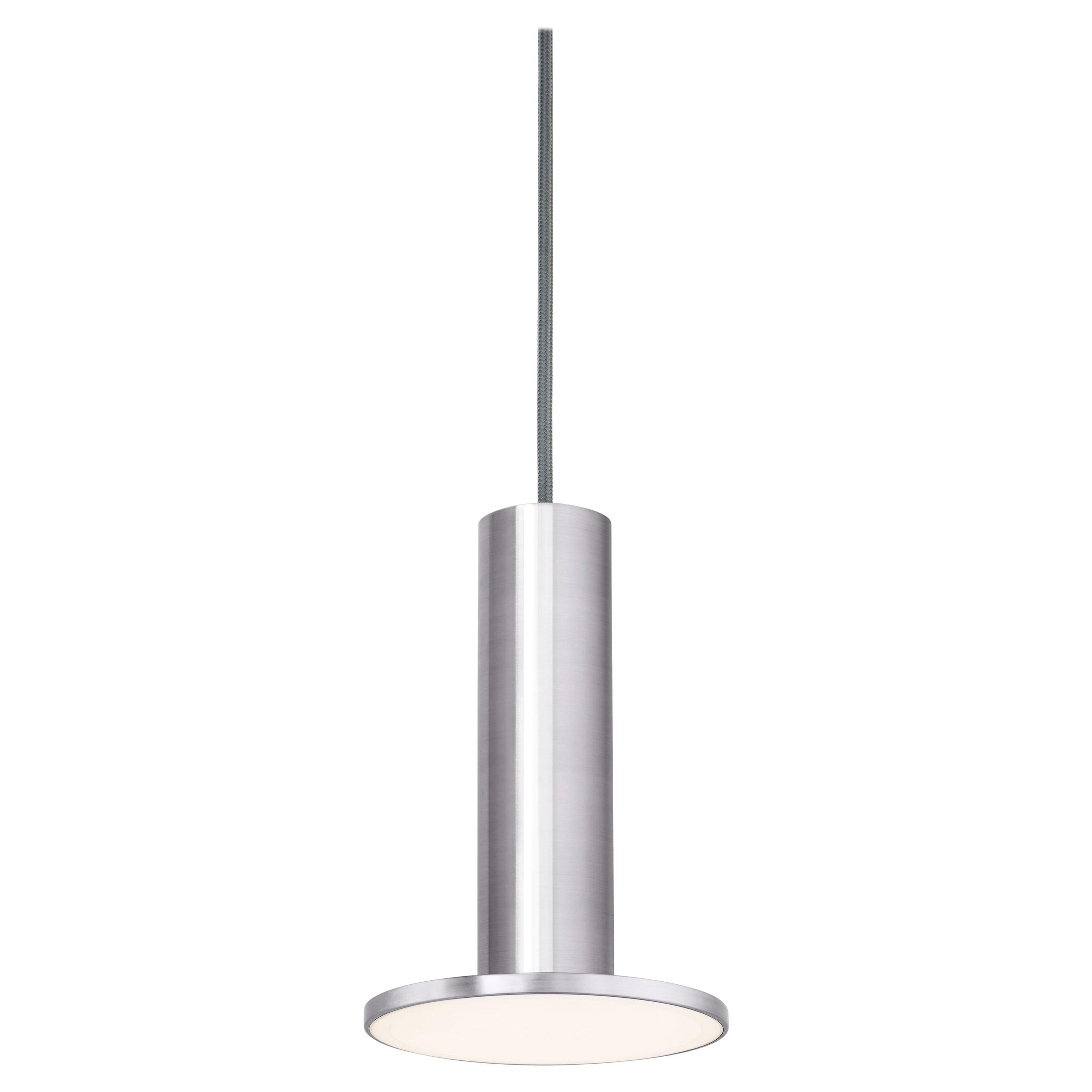 Cielo Pendant Light in Satin Aluminum & Gray by Pablo Designs For Sale