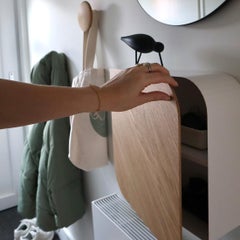 Cielo Wall Cabinet, Oak & White