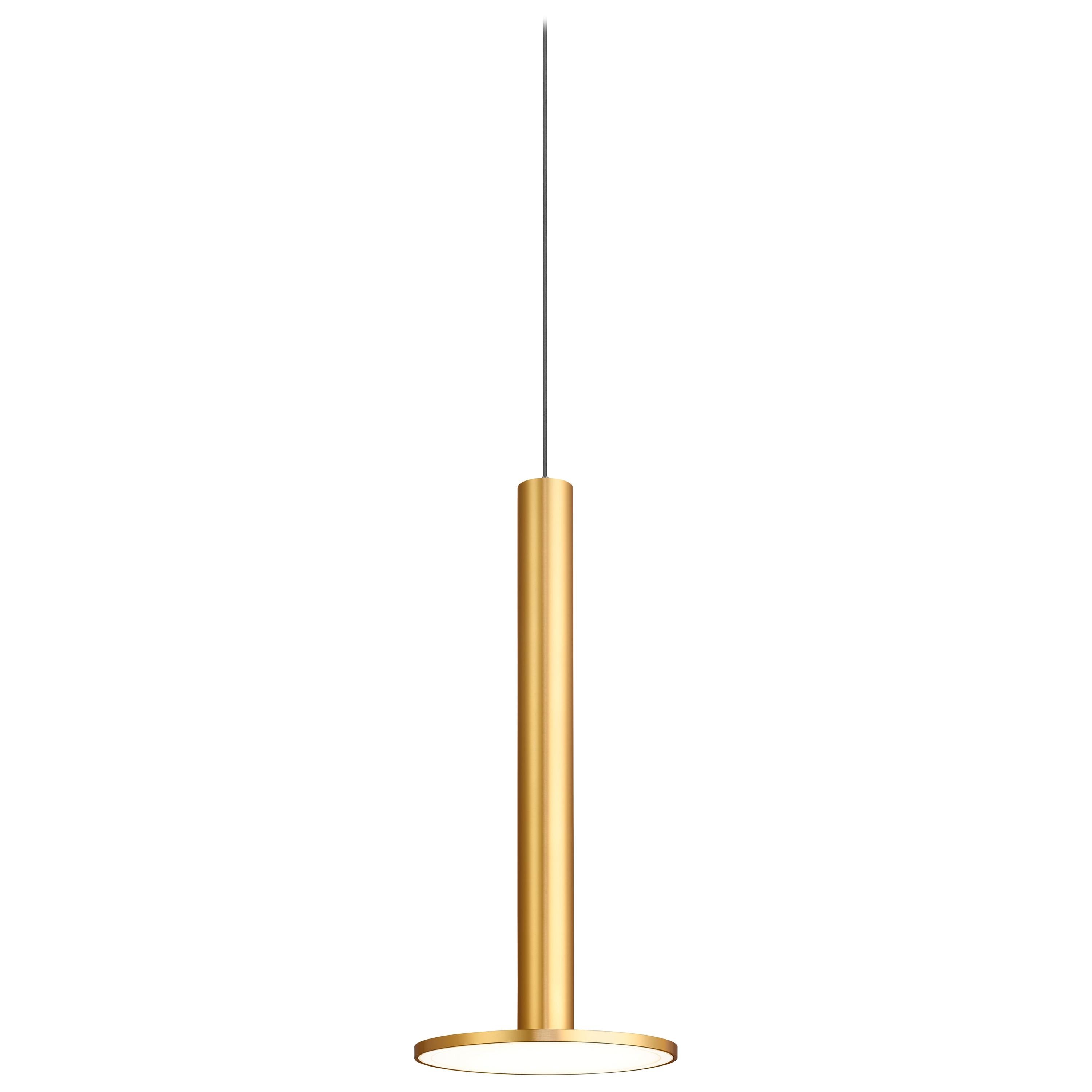 Cielo XL Pendant Light in Brass by Pablo Designs For Sale