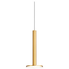 Cielo XL Pendant Light in Brass by Pablo Designs
