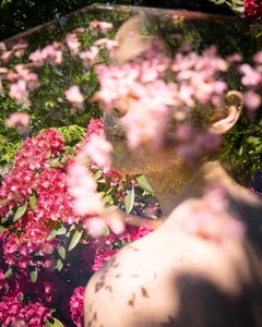 Tous les rhododendrons