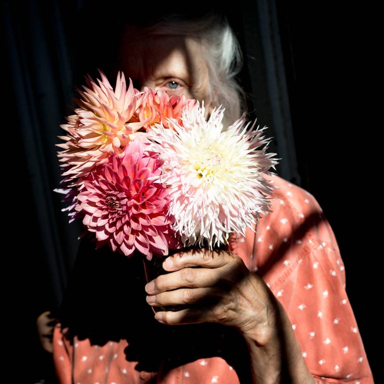 Cig Harvey Color Photograph - Dahlias