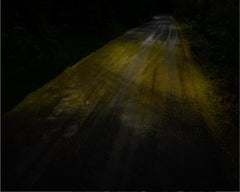 Gold Road (fallen pollen), 2022