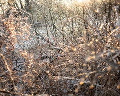 e de tempête de glace