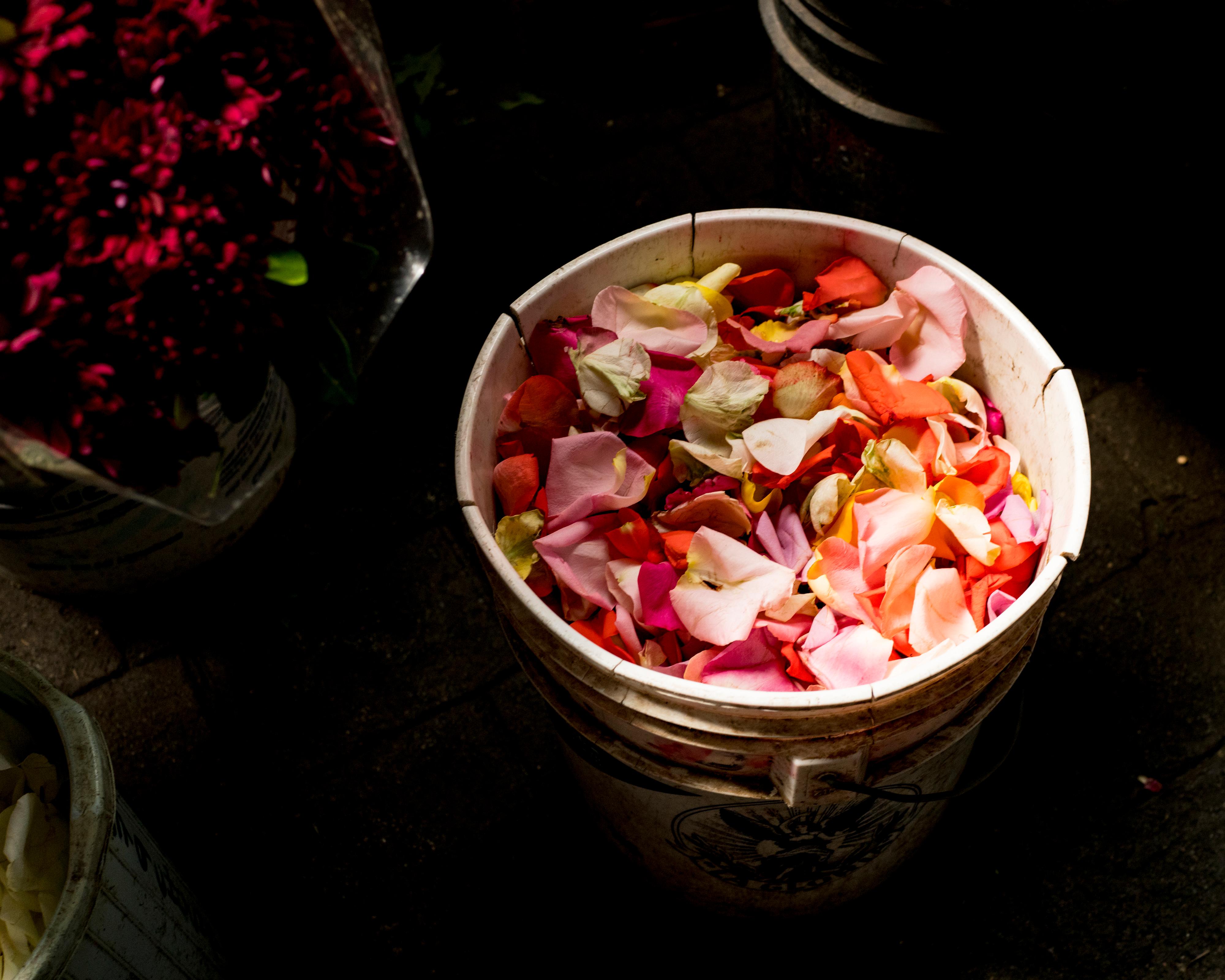 Cig Harvey Color Photograph - Rose Petals (Waiting)