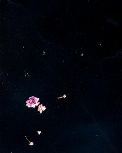 Roses (Floating)
