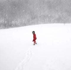 Scout dans le blizzard, Rockport, Maine, 2017