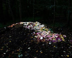The Compost Heap