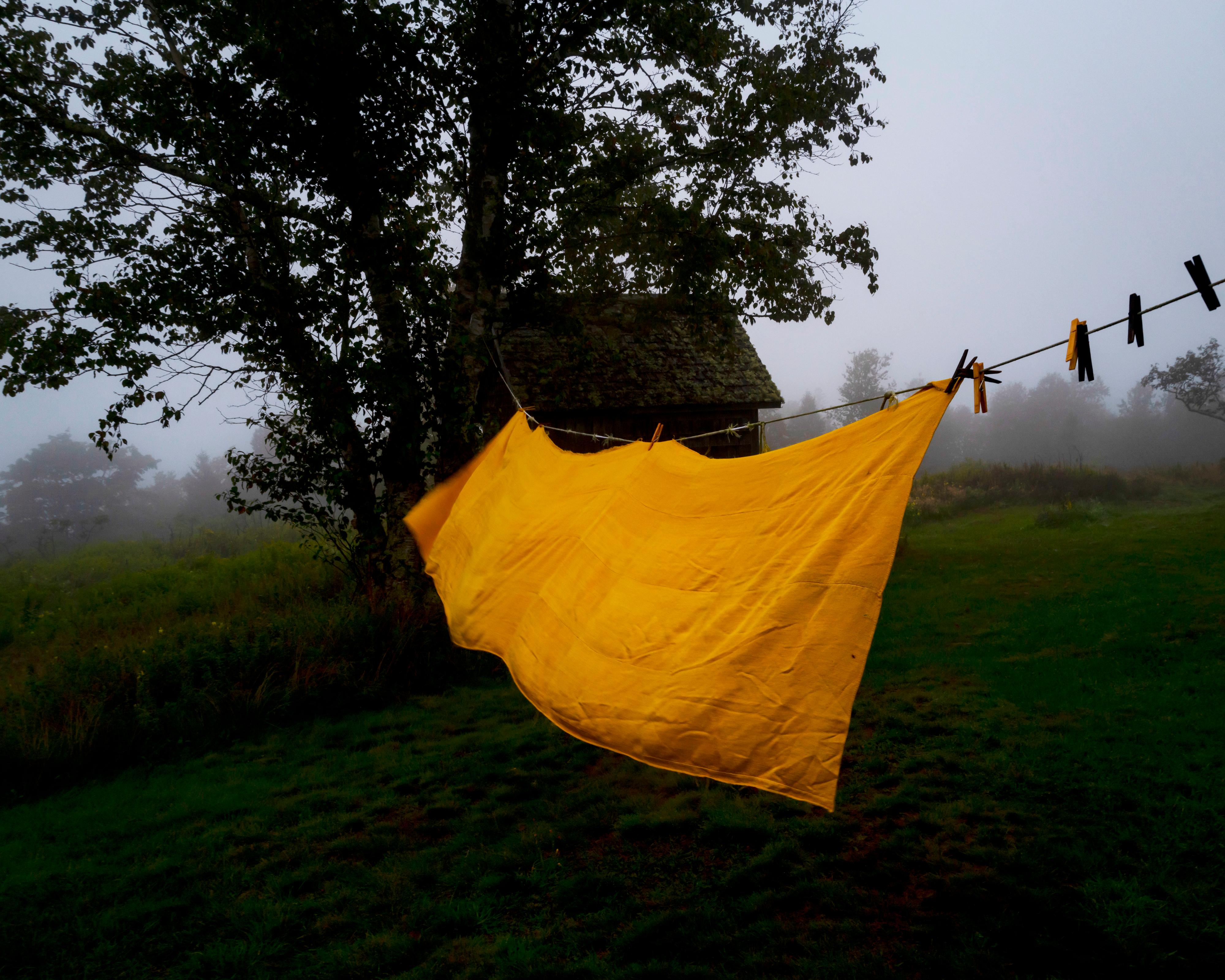 Yellow Table Cloth (Dawn), Eagle Island, Maine 2021