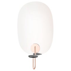 Cigales Wall Flower Pot with Mirror in Copper Coated Metal by Paolo Cappello