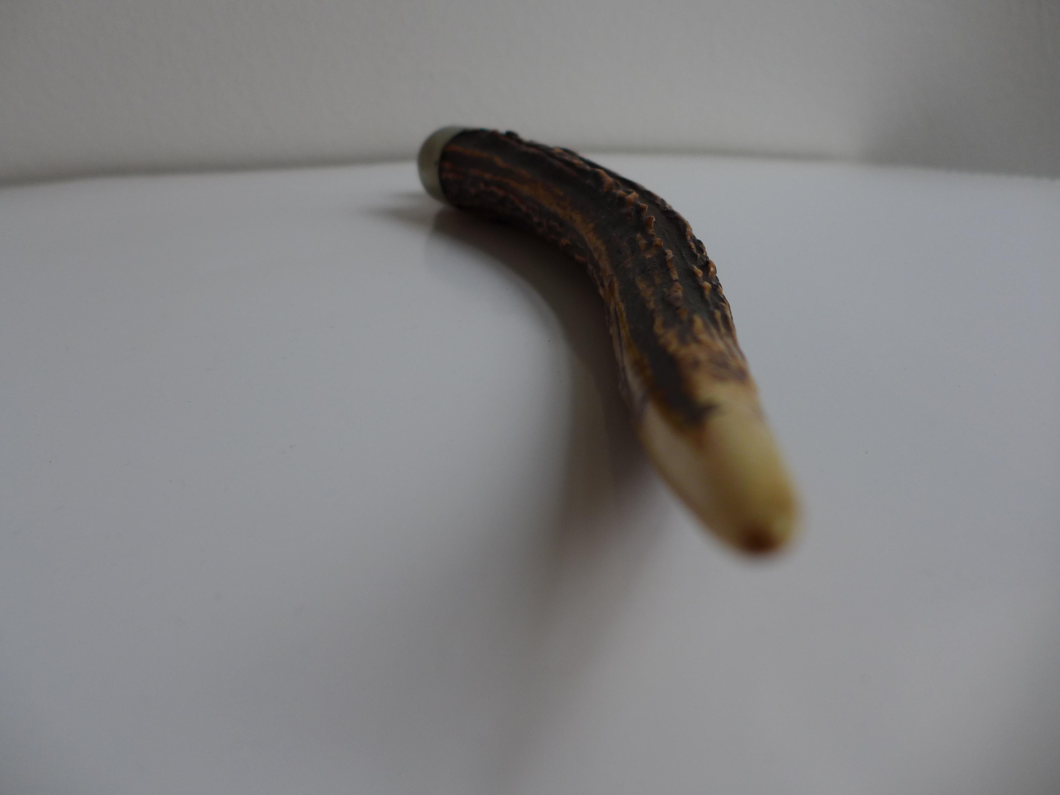 Acier inoxydable Coupe-cigare en bois de cerf Pfeilring de Solingen en vente