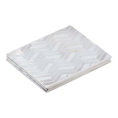 Cigarette case in silver relief with mosaics