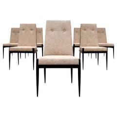 Cimo, Brésil - Ensemble de 8 chaises du milieu du siècle en bois dur ébonisé et bouclier ivoire