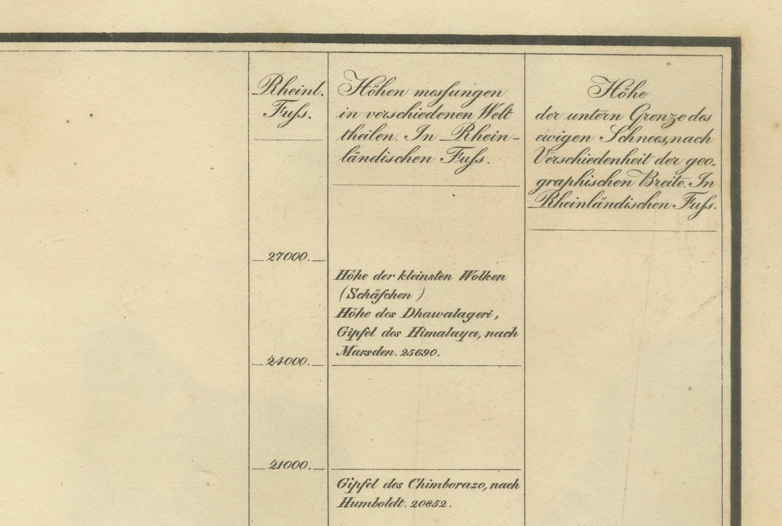 Cinchona-Barkenarten: Ein seltener handkolorierter, illustrierter botanischer Atlas (1826) (Frühes 19. Jahrhundert) im Angebot
