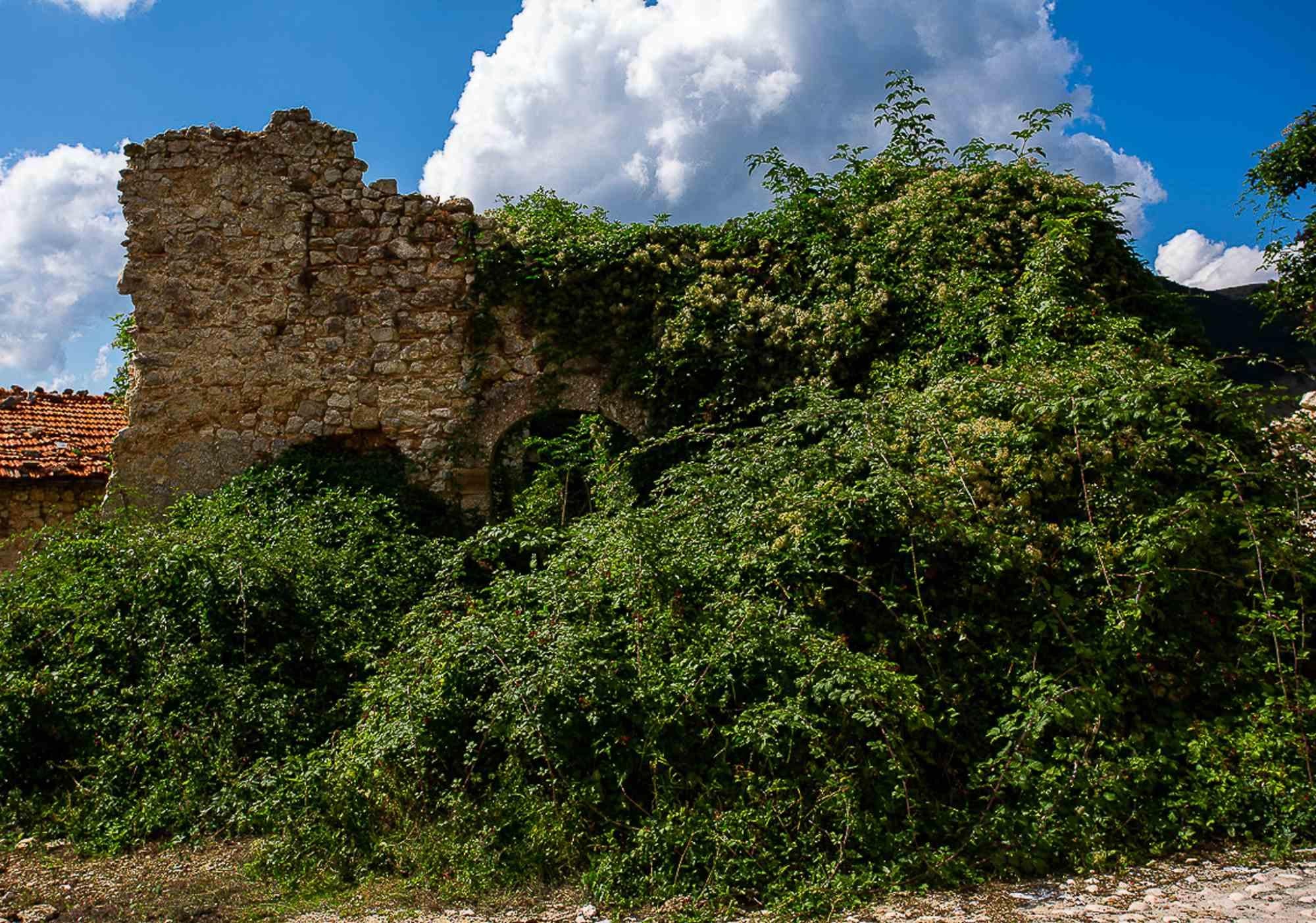 Memory's Eye is a beautiful photograph on Pearl photographic paper realized by the artist Cindi Emond in 2019.

Edition of 10 prints. Hand-signed on the back and numbered. Perfect conditions.

The picture was taken in Italy. The lushly overgrown