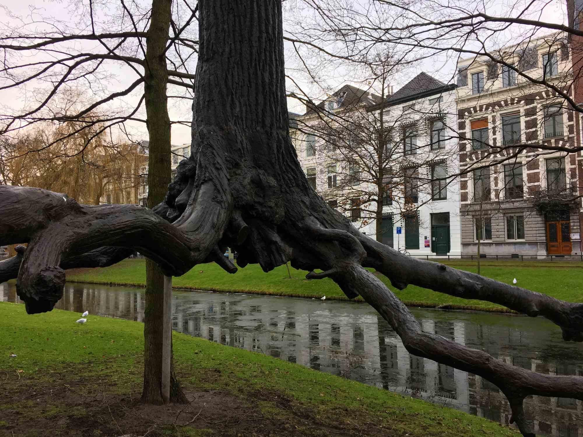 Nature Suspended è una straordinaria fotografia su carta fotografica Pearl realizzata dall'artista Cindi Emond nel 2017.

Edizione di 10 stampe. Condizioni perfette. Firmato a mano sul retro e numerato.

La fotografia è stata scattata a Rotterdam,