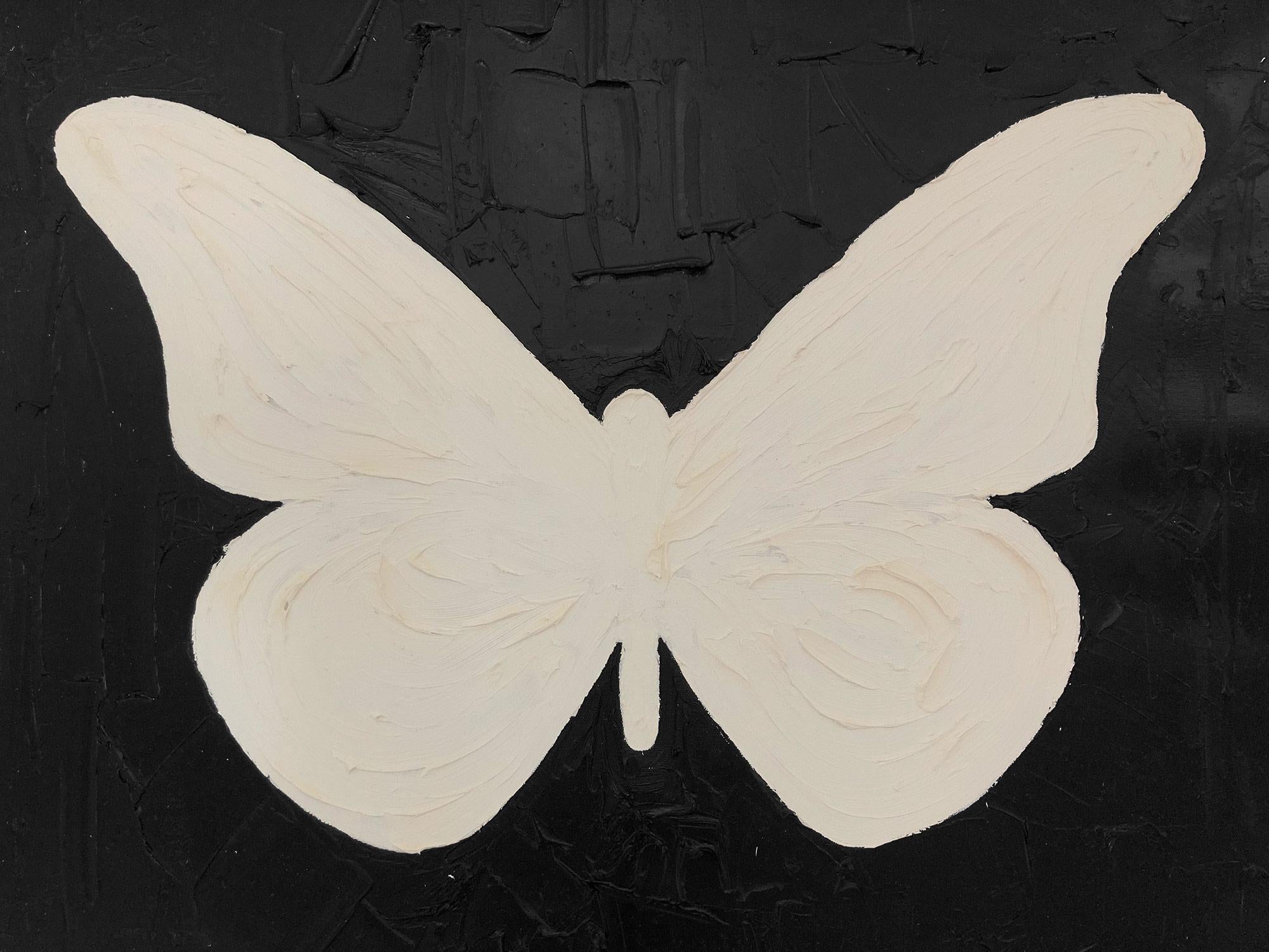 clouded white butterfly