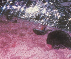 1989 Cindy Sherman 'Secessione di Vienna'