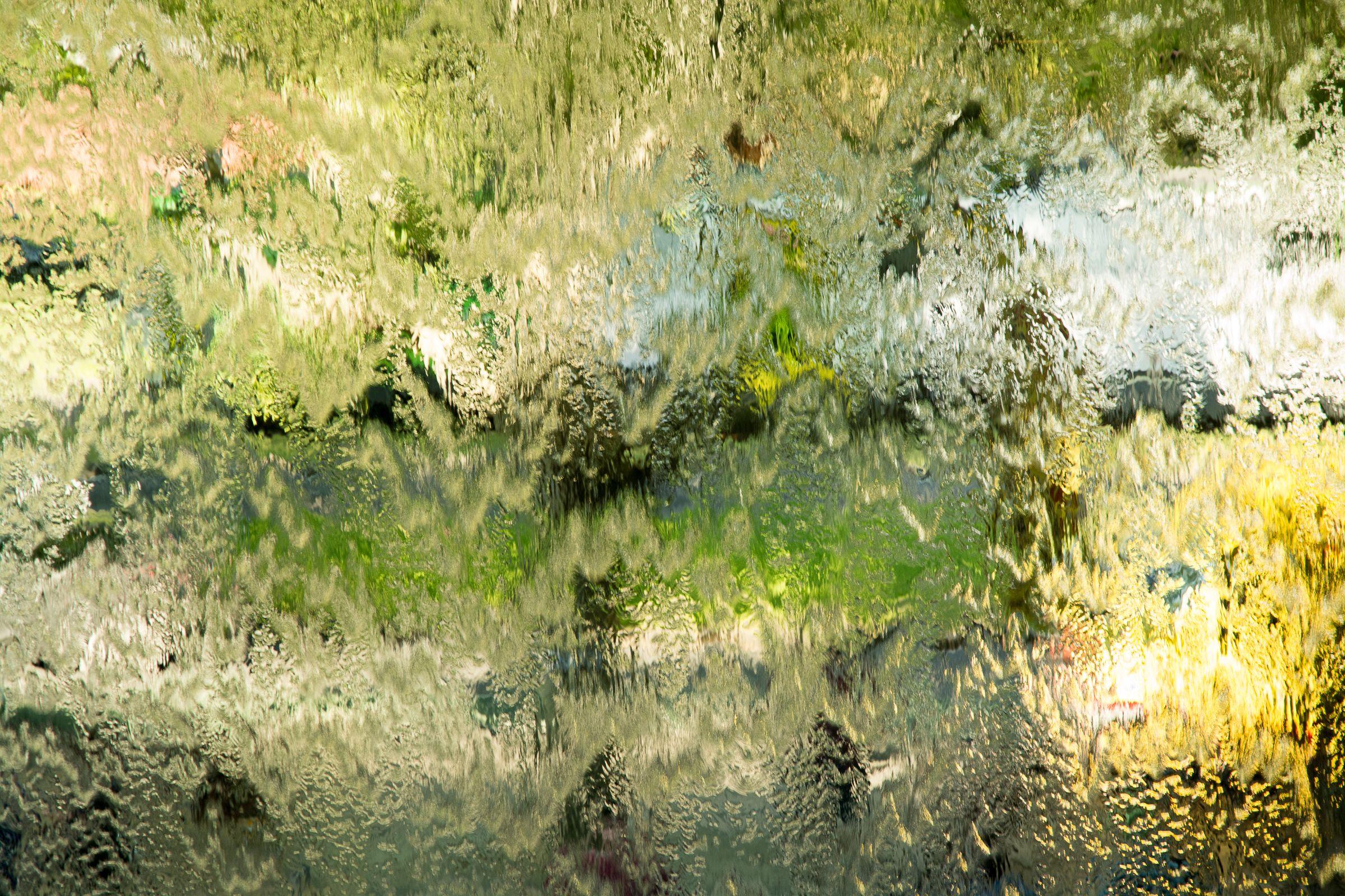 Awash in Green, Photograph, Archival Ink Jet