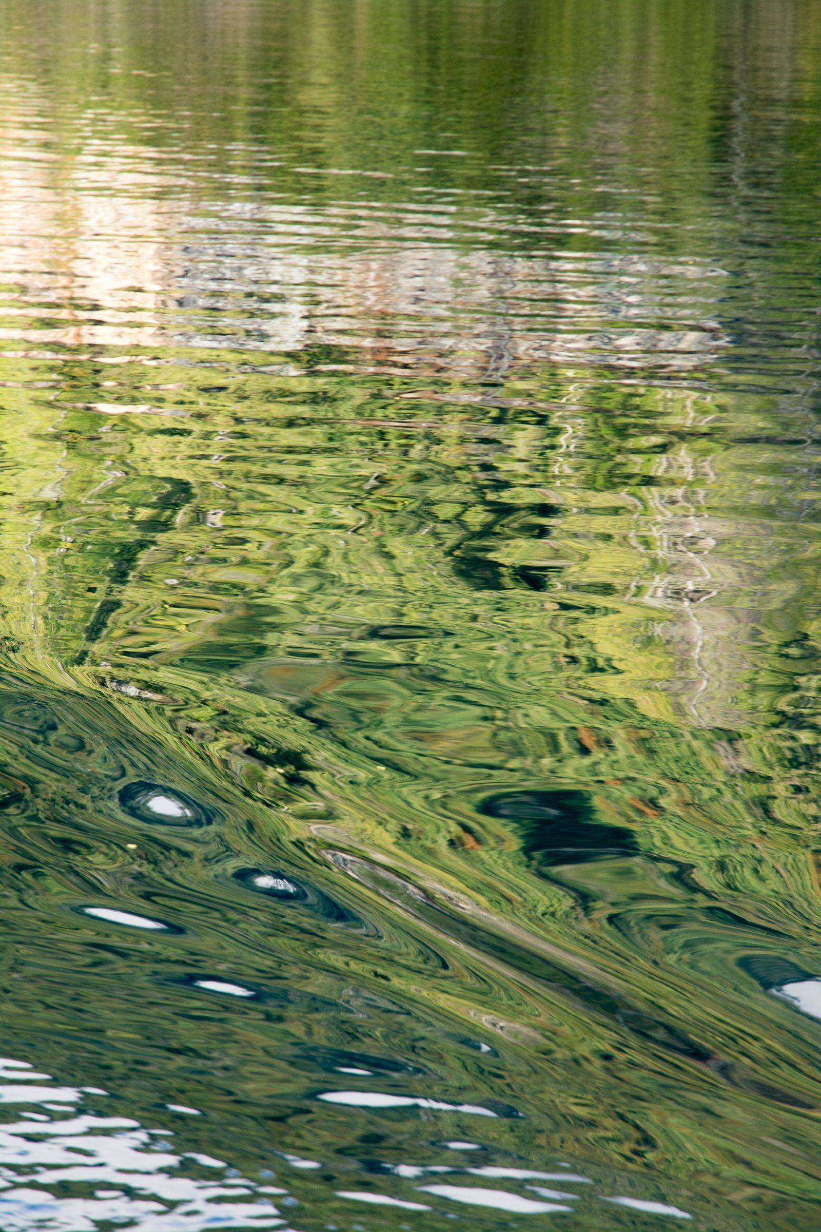 Cindy Stephens Color Photograph – Emerald Reverie, Fotografie, Archivtintenstrahl