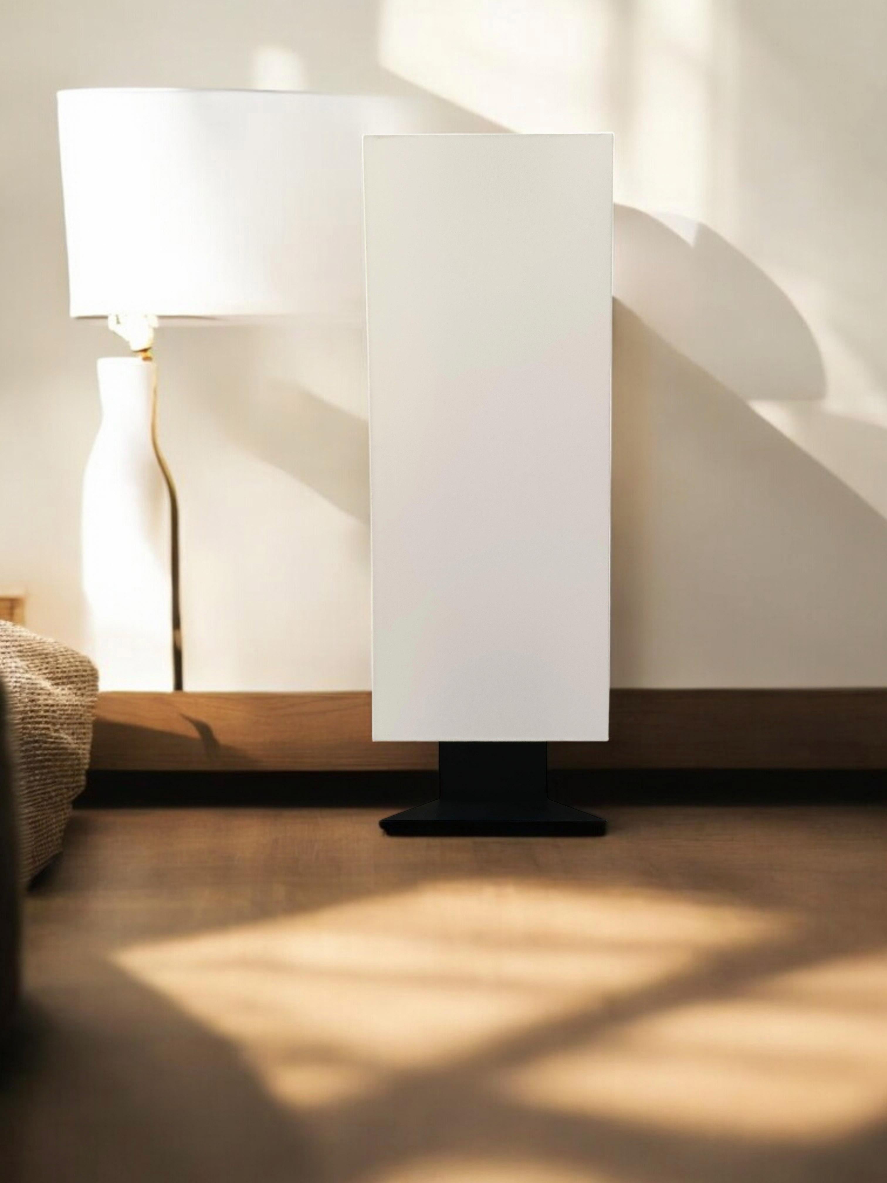 Cini Boeri for Artemide Floor Lamp 