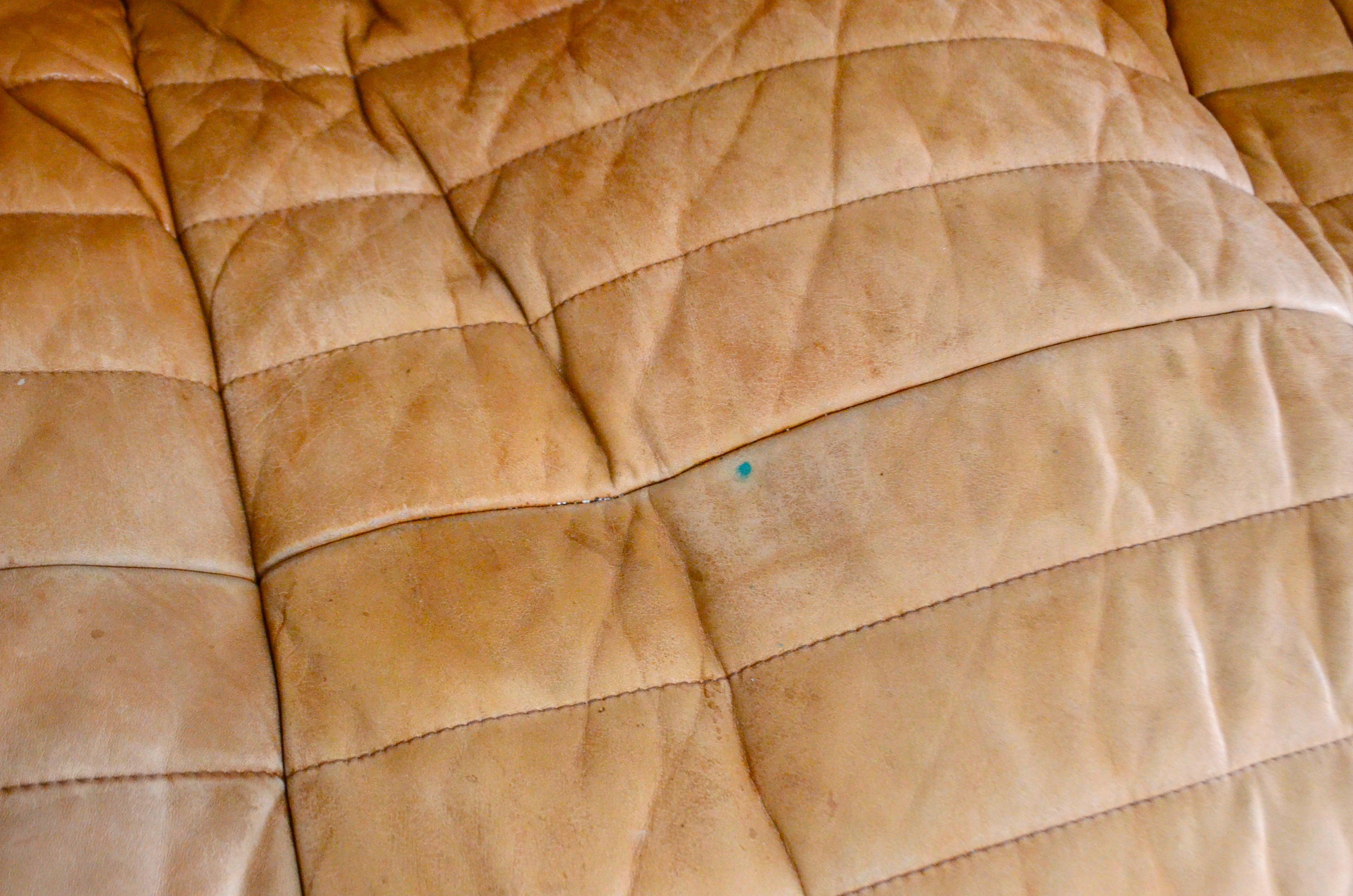 Cinna / Ligne Roset Leather Sofa Sandra by Annie Hieronimus Natural Cognac In Good Condition In Munich, Bavaria