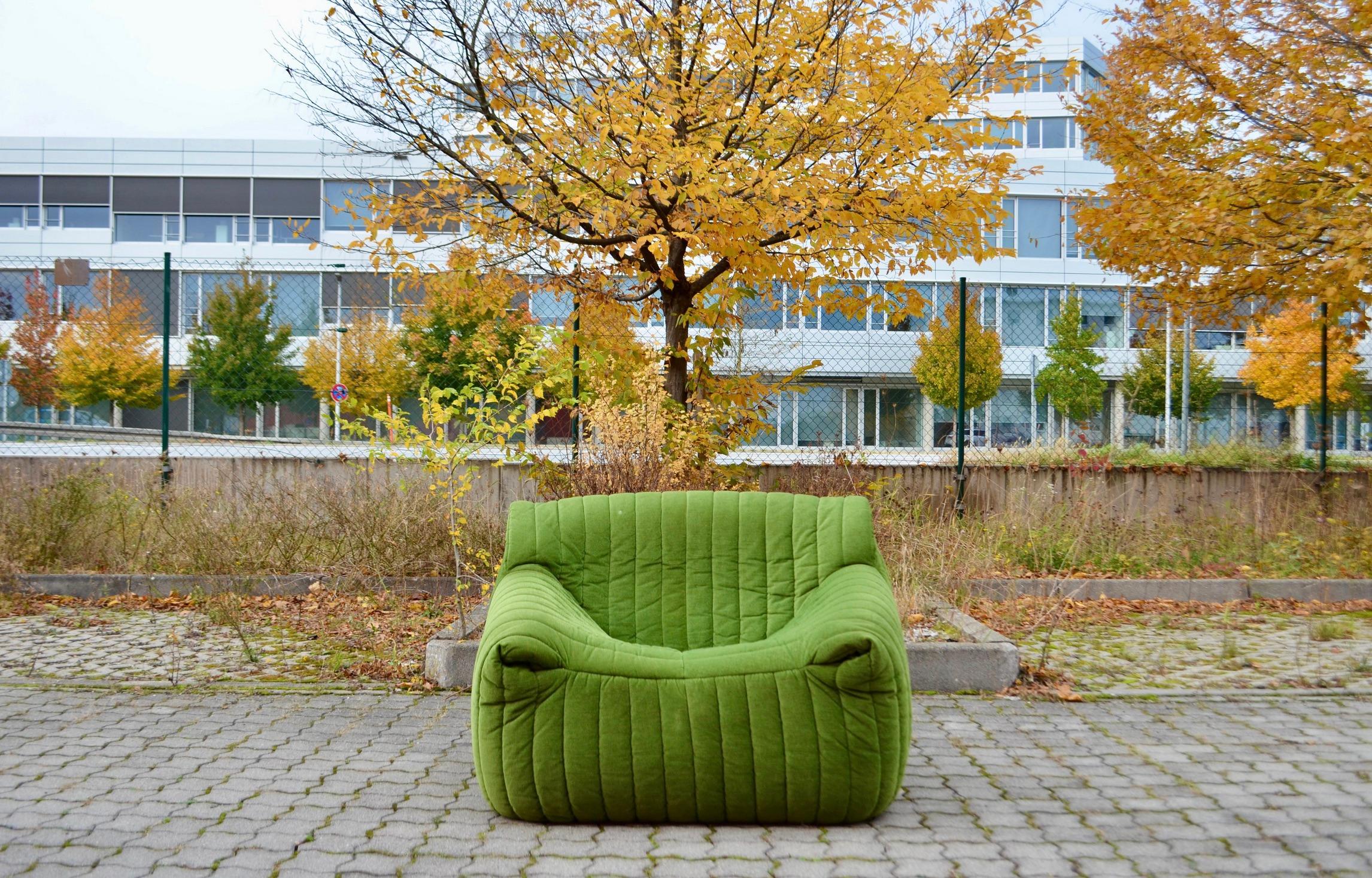 Silla de salón Cinna / Ligne Roset  Sandra de Annie Hieronimus Verde lima Moderno orgánico en venta