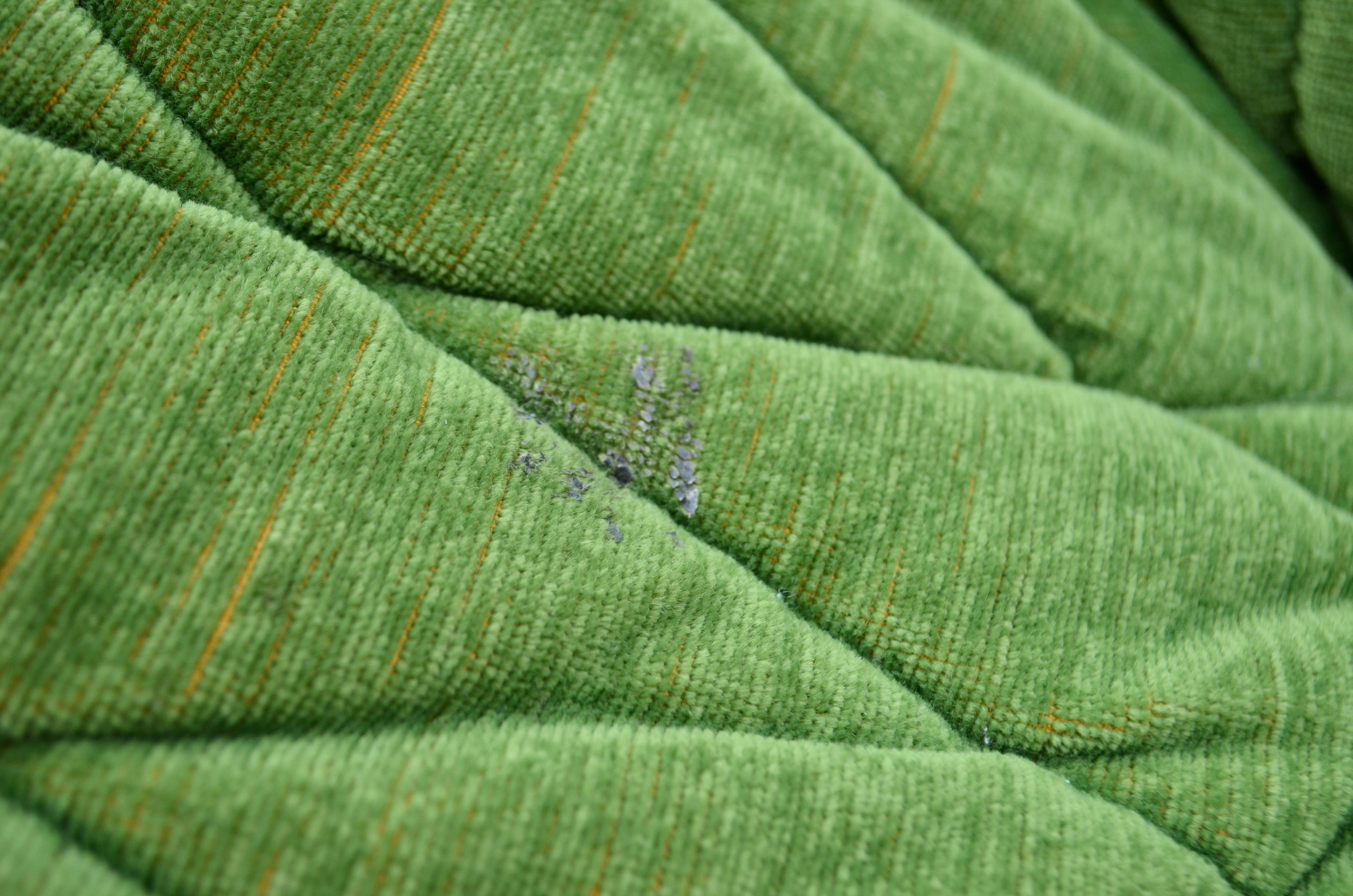 Français Fauteuil de salon Cinna / Ligne Roset  Sandra par Annie Hieronimus - Vert citron