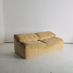 Cinna (Ligne Roset) Canapé Plumy